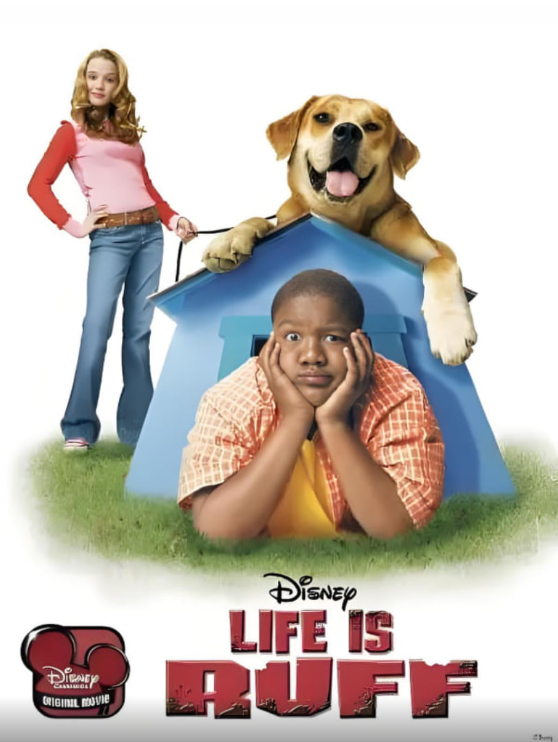 兵临城下在线观看