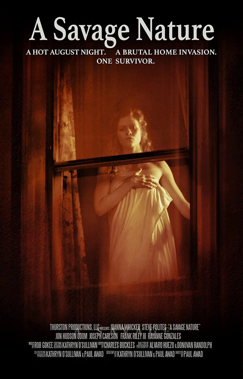 东方卫视直播在线观看